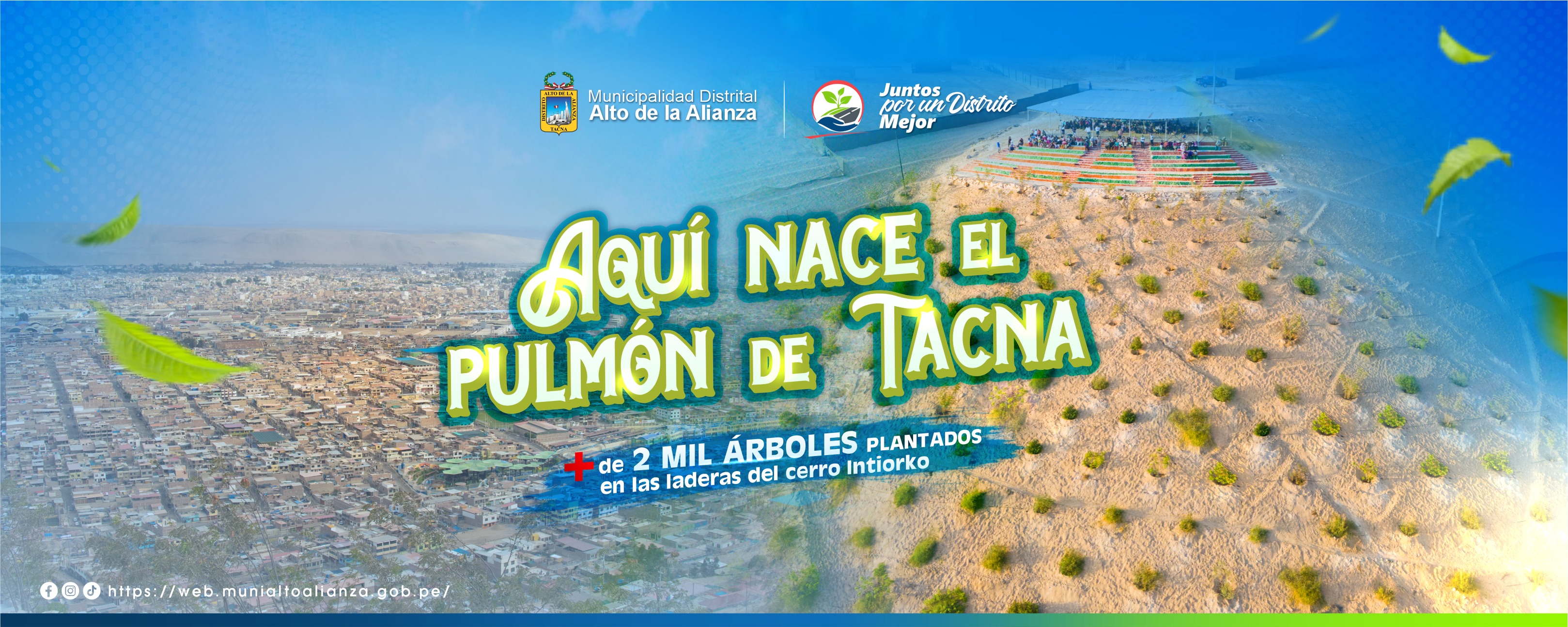 Foto principal alto de alianza