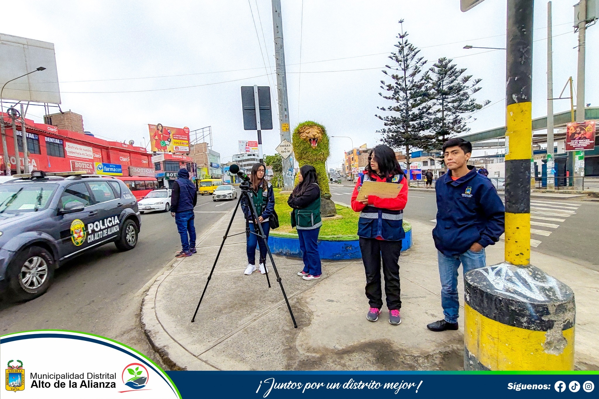 Fotos Alto de Alianza