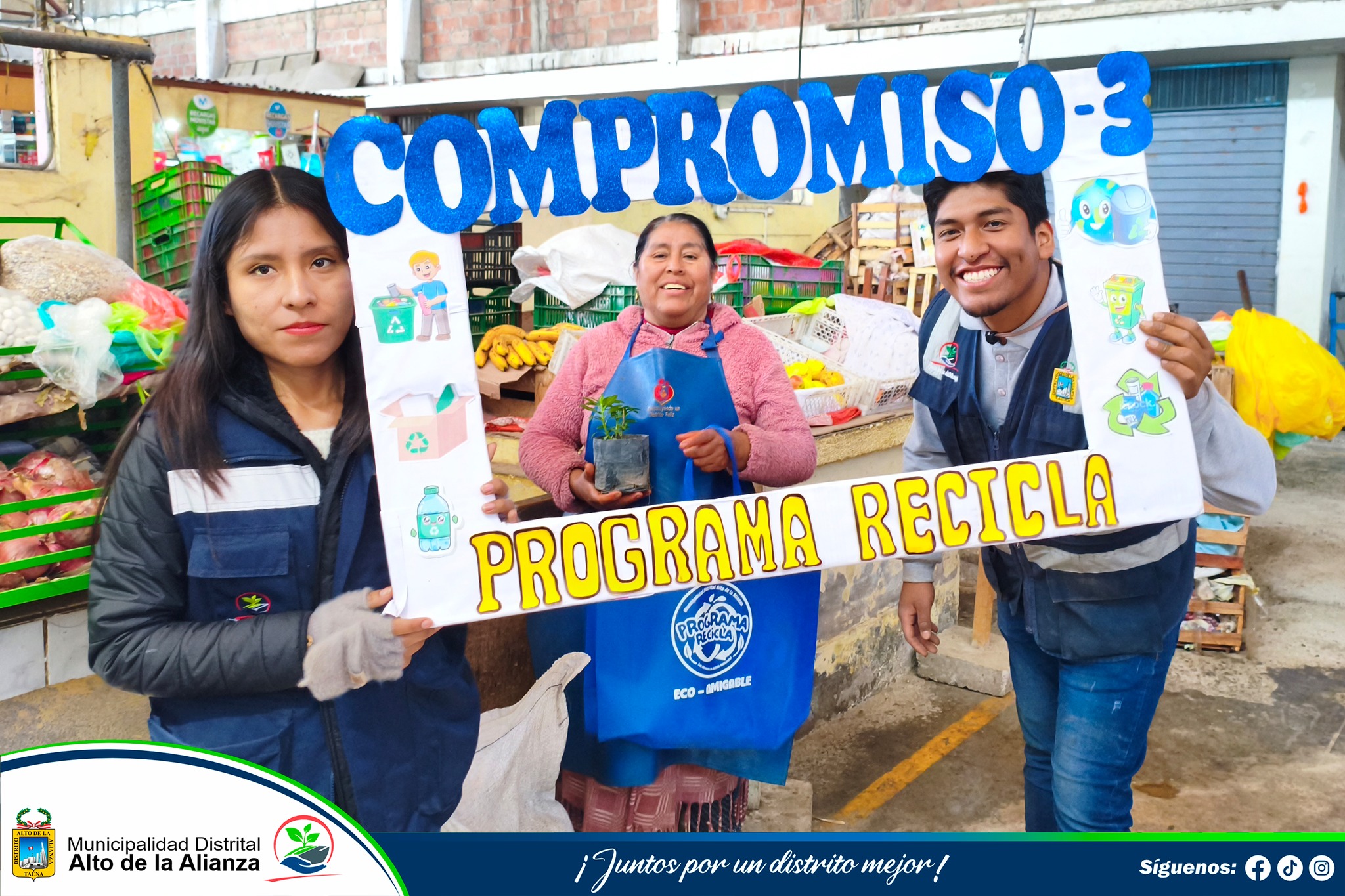 Fotos Alto de Alianza