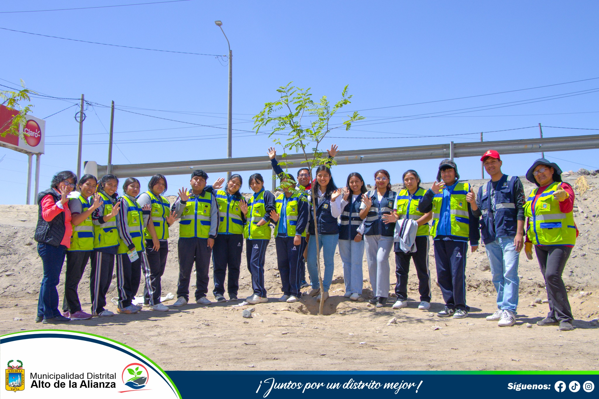 Fotos Alto de Alianza