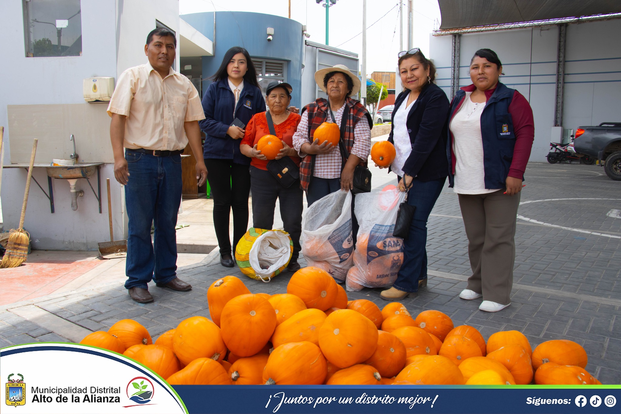 Fotos Alto de Alianza