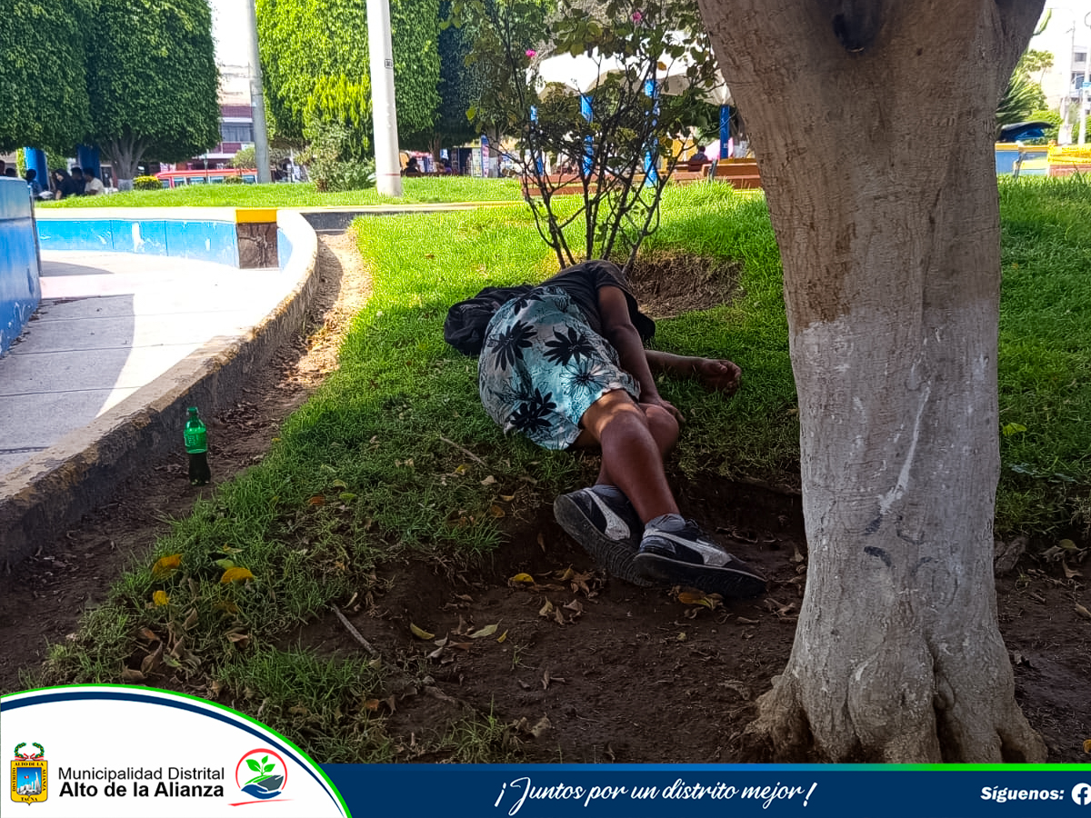 Fotos Alto de Alianza