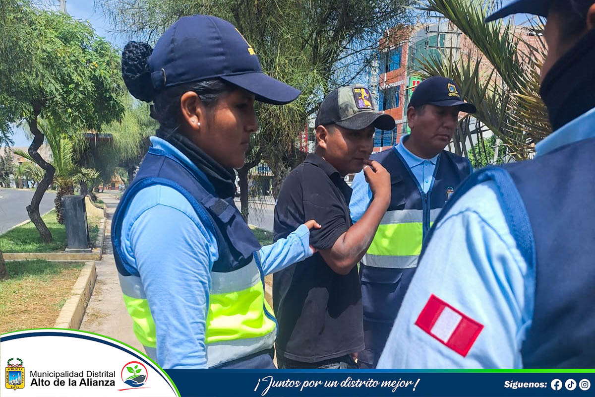 Fotos Alto de Alianza