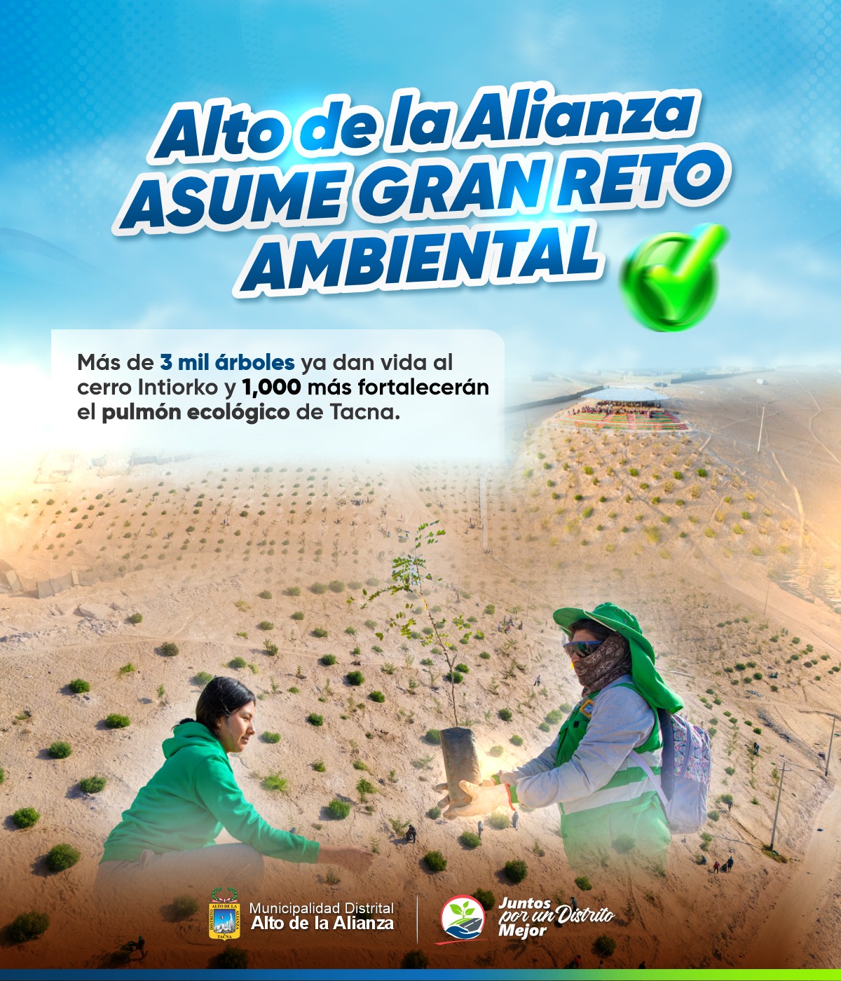 Fotos Alto de Alianza