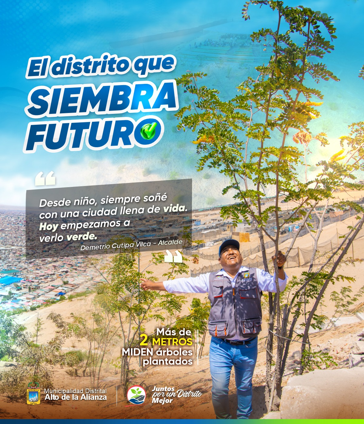 Fotos Alto de Alianza