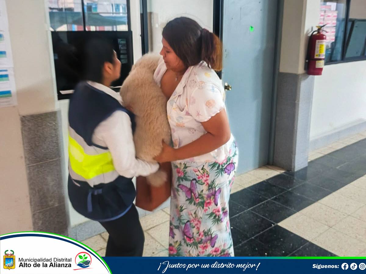 Fotos Alto de Alianza