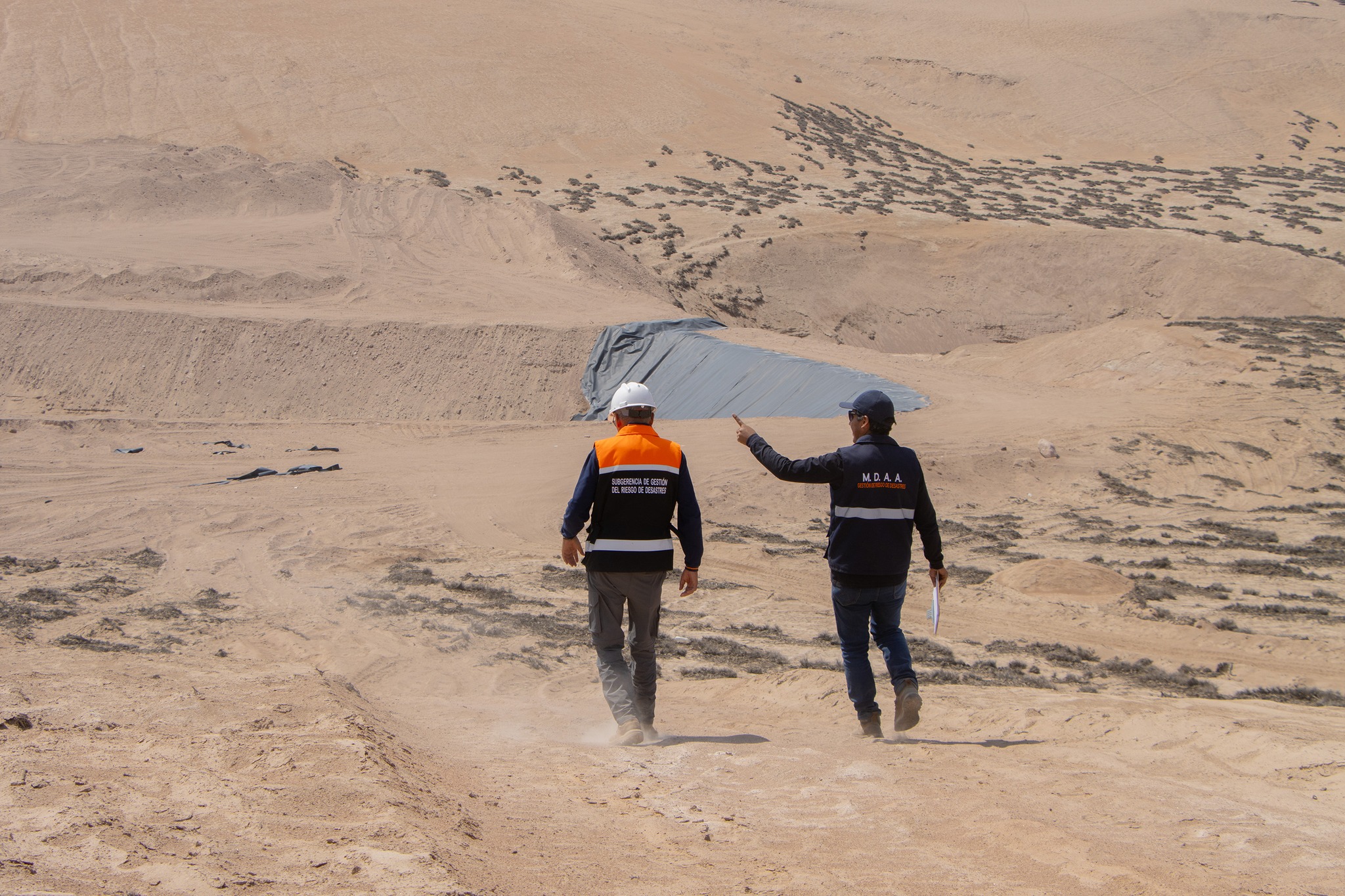 Fotos Alto de Alianza