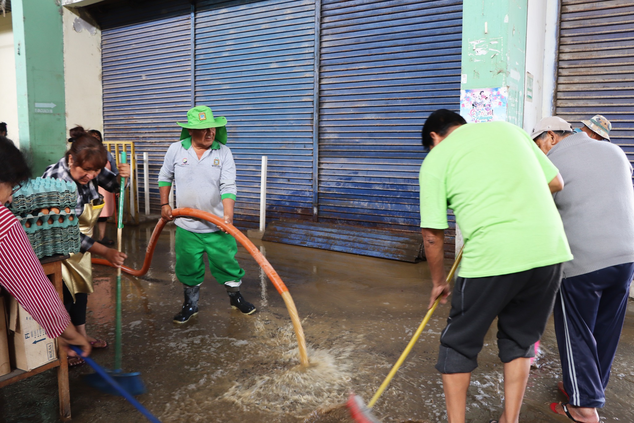 Fotos Alto de Alianza